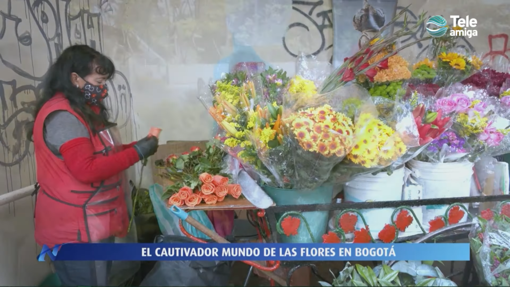 El Mundo de las flores