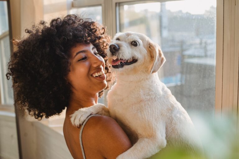 Cuide a su mascota de las enfermedades virales