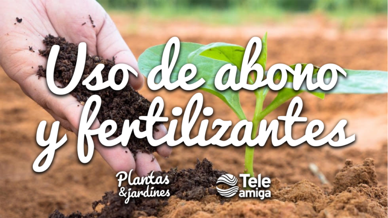 Abonos y fertilizantes – Plantas y Jardines en Teleamiga