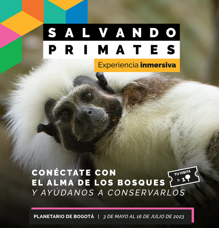 “Salvando Primates” – La Cabrera – Scape Games en Urbanos | Teleamiga