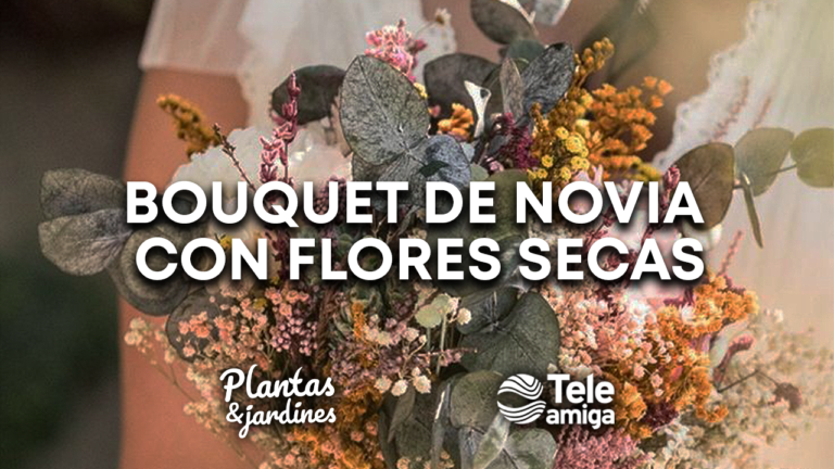 Bouquet de novia con flores secas – Plantas y Jardines