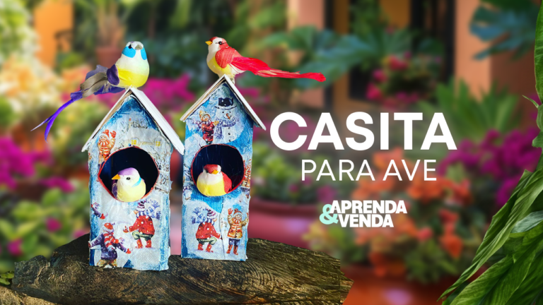 Casita para Ave en Aprenda y Venda – Teleamiga