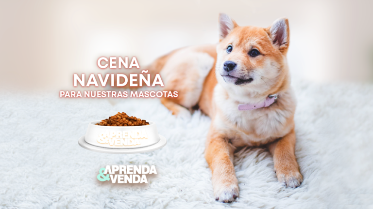 Cena Navideña Para Mascota en Aprenda y Venda – Teleamiga