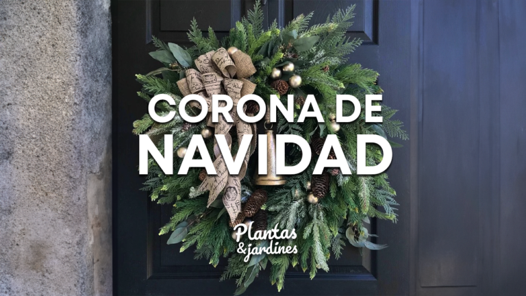 Corona de Navidad – Plantas y Jardines en Teleamiga