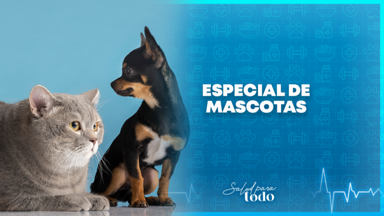 Especial de mascotas en Salud para Todo – Teleamiga