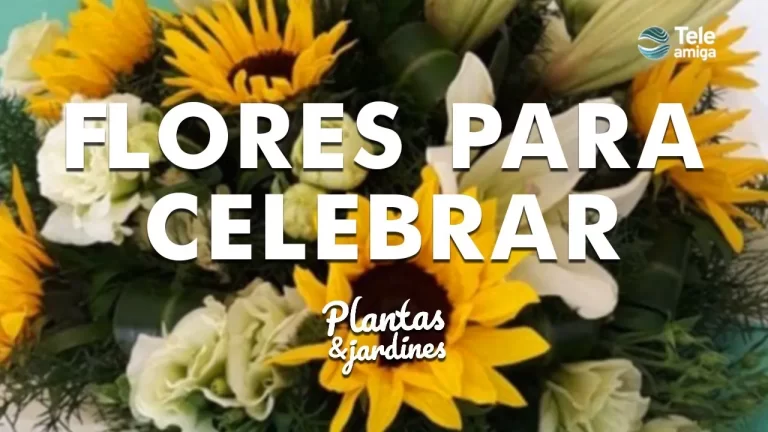 Flores para Celebrar – Plantas y Jardines
