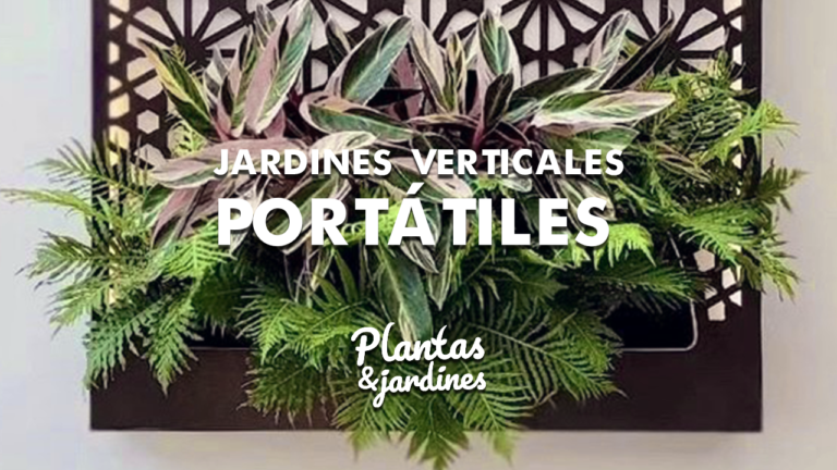 Jardines Verticales – Plantas y Jardines