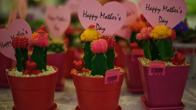 Celebración del Día de las Madres en Colombia: Honrando el Amor y la Devoción