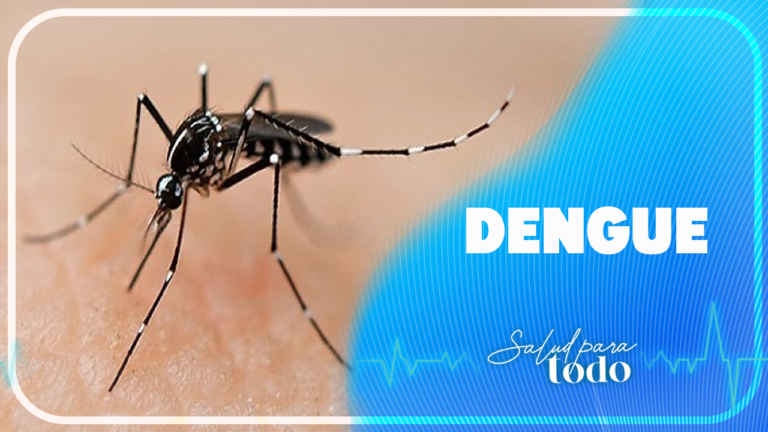 Dengue en Colombia – Salud para Todo