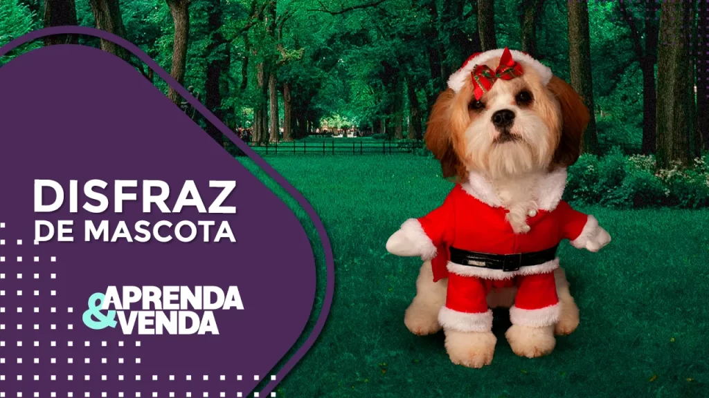 Disfraz de mascota, aprenda y venda