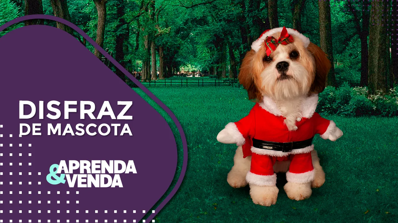 Disfraz de mascota, aprenda y venda