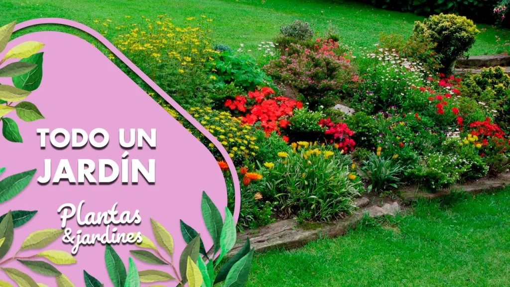 Todo Un Jardín Plantas y Jardines